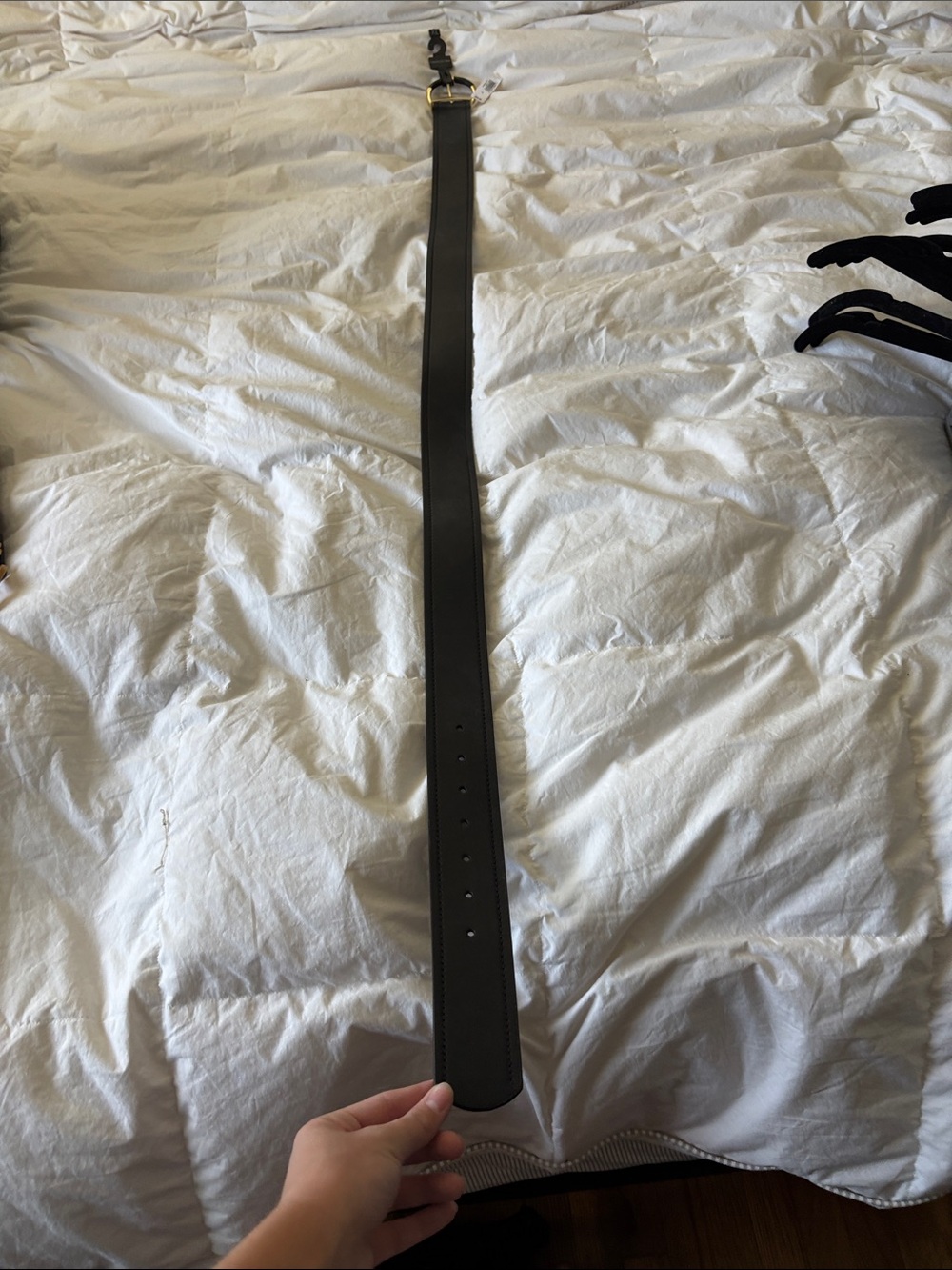 Banana Republic Black Leather Belt with Gold Buckle